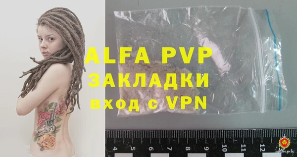 индика Богданович