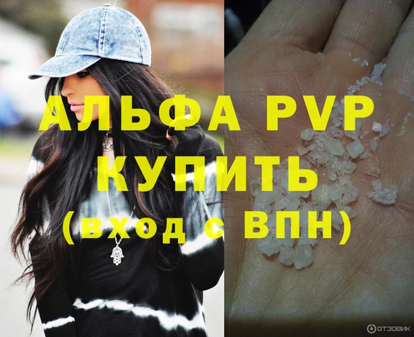 индика Богданович