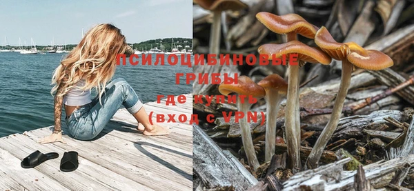 ГАЛЛЮЦИНОГЕННЫЕ ГРИБЫ Богородицк