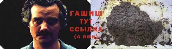 индика Богданович