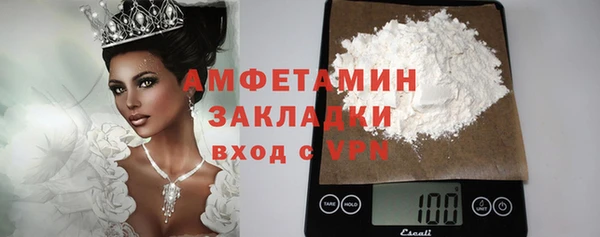 индика Богданович