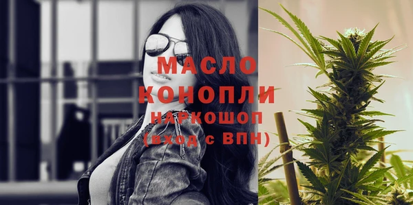 индика Богданович